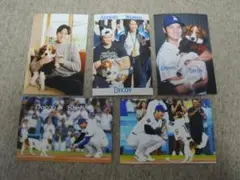 ハガキサイズ 写真 5枚セット 大谷翔平 ファミリー