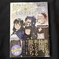 よくわからないけれど異世界に転生していたようです 25