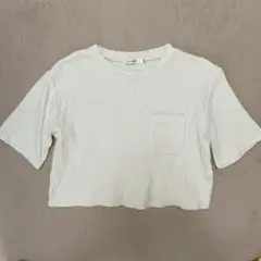 MOUSSY アイボリー ショート丈 コットン リブTシャツ