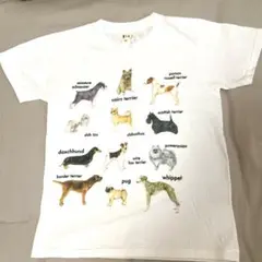 Fig DogTシャツ^_^