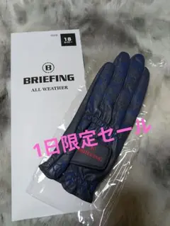 【1日限定セール】BRIEFING　グローブ左手　18
