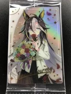 ウマ娘ツインウエハースカード ドリームジャーニー