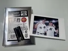 千葉ロッテ シークレットチェキ サモンズ・佐藤