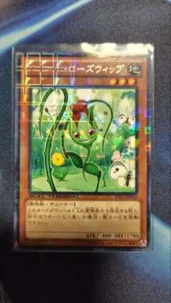 ナチュル・ローズウィップ　DTC