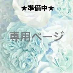 専用ページ