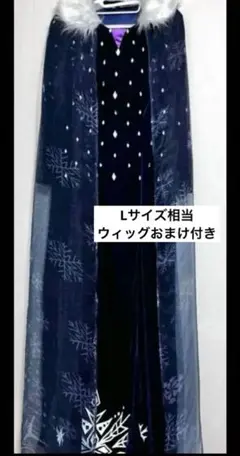 アナと雪の女王 家族の思い出 エルサ ドレス コスプレ 衣装