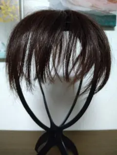 部分ウィッグ