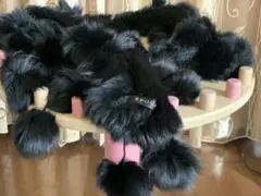 エポカ ミンクファー 未使用