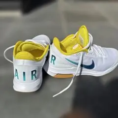 NIKEスニーカーコートエアマックスワイルドカード
