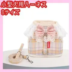Item thumbnail for item c81becac-ca6d-4887-809a-f788684c5d44