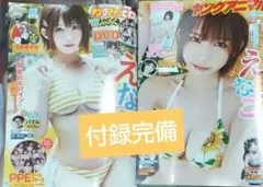 説明文必読　えなこ　ヤングチャンピオン　ヤングアニマル　セット