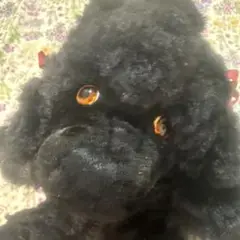 ぬいぐるみ型クラッチバッグ ブラック♡TWYFORD*プードル