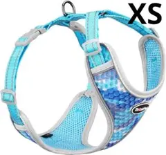 Item thumbnail for item b2cd95ed-9eac-44f8-819e-6fc87e74fefb