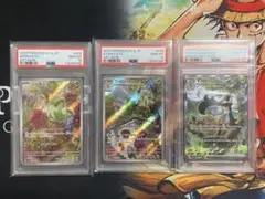【PSA10連番】ポケモンカード ニャオハ、ニャローテ、マスカーニャ 進化セット