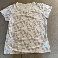 Prince テニスTシャツ Lサイズ