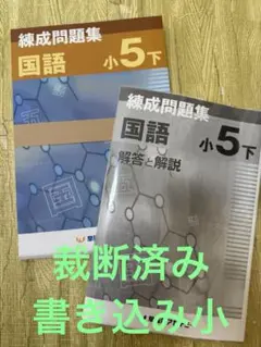 【裁断済み】練成問題集 国語 小5 下 早稲アカ