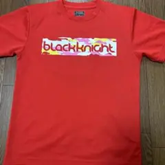 Item thumbnail for item e4391859-5d4c-4aa0-8097-816880c90d30