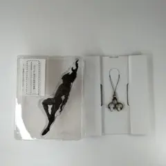 Item thumbnail for item 638f0772-9fa9-496a-8cce-eb87b11e370e