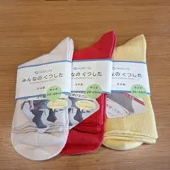 最終お値下げ❗ NAIGAI みんなのくつした 3足セット