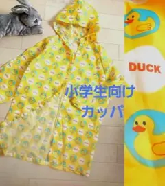 Item thumbnail for item a46c25b6-6135-4f0a-b57d-3cc7cc4c6e64