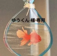 ゼンジン DVD ※専用