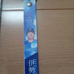 伊勢大夢投手 横浜DeNAベイスターズ ボンフィン