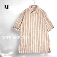 Item thumbnail for item 60a2e48e-7caa-40d8-989f-095dd839eea0
