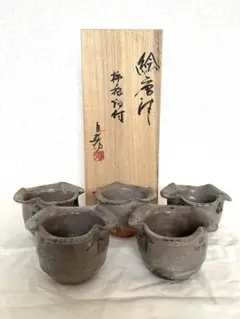 中川自然坊　個展作品　絵唐津　柿ノ花向付　5客組