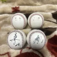 柳田悠岐　球場投げ込み　直筆サインボール 福岡ソフトバンクホークス 柳田悠岐選手 直筆サインボール