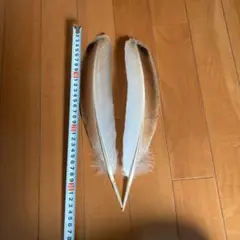 フライマテリアル