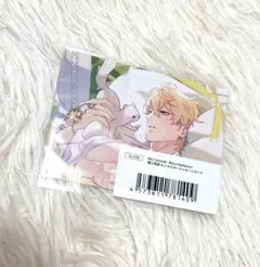 Nu:カーニバル fanfancy+ 特典 メッセージカード ケシー