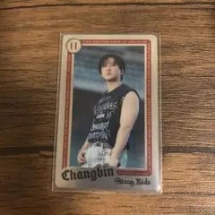 Stray Kids チャンビン ランダムライブフォトカード エコパ 赤枠