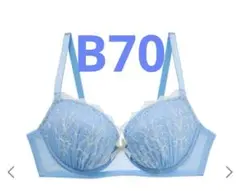 Item thumbnail for item 9eb1ed38-13a6-44a7-ab62-3b948c2758c2