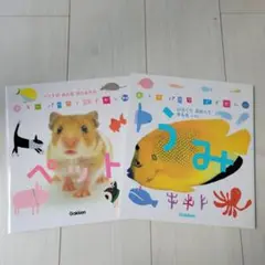 Item thumbnail for item b1941918-acac-4e9b-8baa-4fb13e2d9522