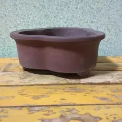 Item thumbnail for item 3bdd6db0-2d7e-4f9b-89a5-0fba3313e2ec