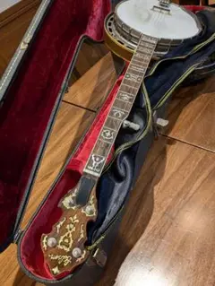 2025年最新】GIBSON 弦楽器の人気アイテム - メルカリ