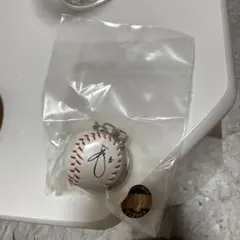 阪神タイガース　ガチャ　近本光司