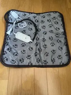 Item thumbnail for item 38b1910d-4f13-4d44-b2b2-269aeee662d8