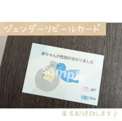 【匿名配送・ハンドメイド】ジェンダーリビールカード　性別発表