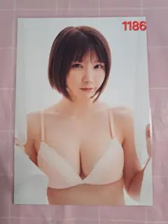 えなこA4サイズラミネート【1186】 まとめ買い割引き有り