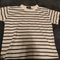 POLO ストライプ Tシャツ ホワイト/ネイビー