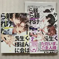 あさひ ヤンキーくんは生徒会長様に躾けられたい 1,2巻