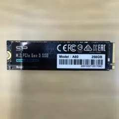 SP A60 256GB M.2 PCIe SSD
