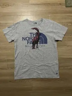 The North Face グレー Tシャツ