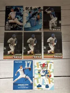 Item thumbnail for item 1b97602c-3afc-459c-a981-3e643cd98f92