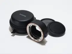 Item thumbnail for item e09feb19-73c9-4a0d-8277-f48246ca2c66