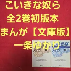 こいきな奴ら　全2巻初版本　まんが【文庫版】一条ゆかり　除菌済　文庫