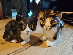 ケンジントンキャット2匹まとめて