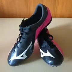 Item thumbnail for item eee5c035-246c-480e-901c-ed21c59d37cf