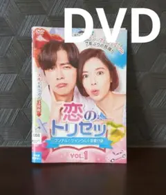 恋のトリセツ　DVD12枚組全巻